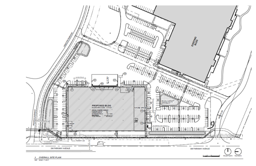 ParkWorks Site Plan