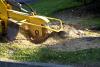 machine grinding down a tree stump